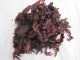 DULSE BIOLOGIQUE feuilles (Palmaria palmata) 5 kg